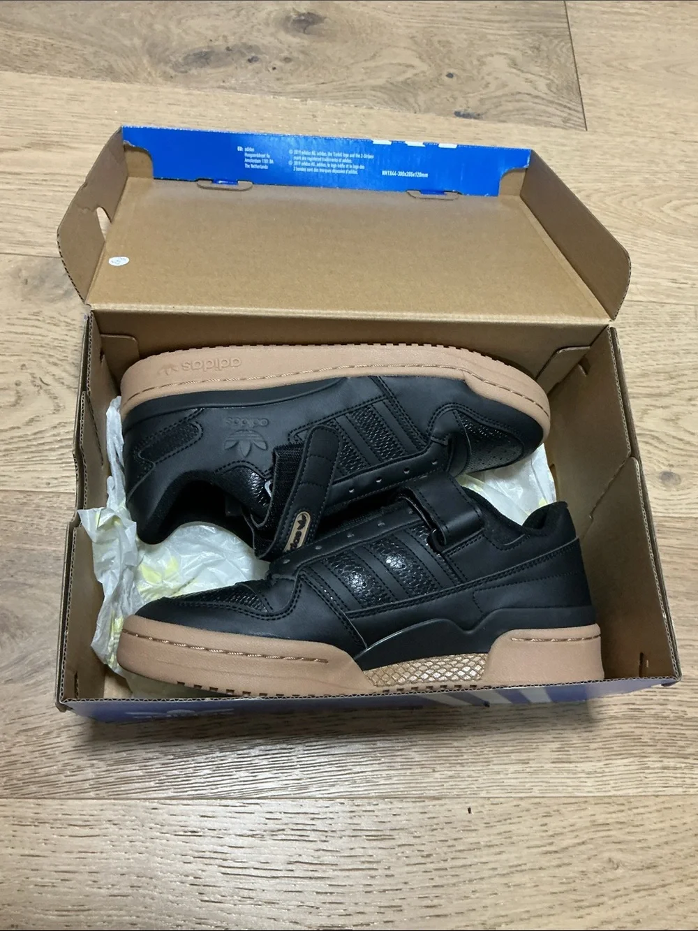 adidas Men Blue Shoe Box — Forum Low